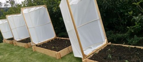 Un huerto urbano en tu casa | Huerto urbano, Huerto y Huerto en casa - pinterest.com