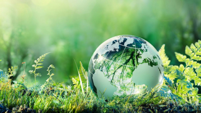 La Giornata della Terra festeggia nel 2020 il cinquantesimo anniversario.