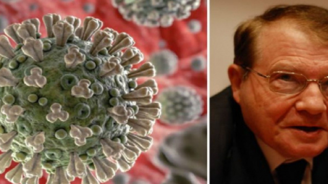 Pourquoi Docteur pubblica un nuovo articolo che smentisce Montagnier: 'No, il virus SARS-CoV-2 non contiene parti dell'HIV'.