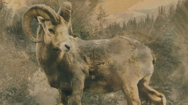 Oroscopo di domani 22 aprile: nuove idee per Capricorno, Pesci oziosi.