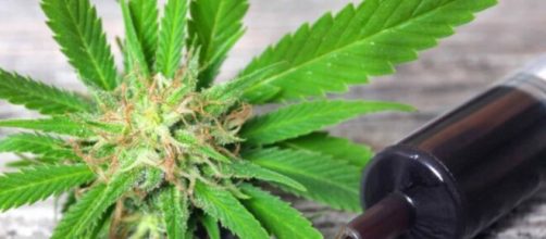 Anvisa afirmou que o f&aacute;rmaco ser&aacute; aplicado somente quando n&atilde;o houver outra alternativa terap&ecirc;utica. (Arquivo/ Blasting News)