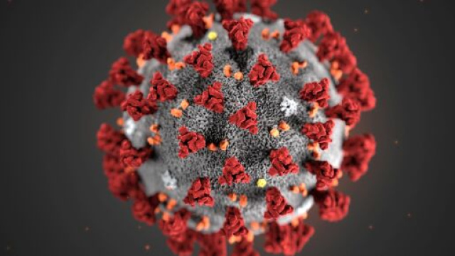Coronavirus il bollettino del 24 aprile