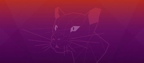 Ubuntu 20.04 "Focal Fossa" &eacute; lan&ccedil;ado com kernel Linux 5.4 e VPN. (Arquivo Blasting News)