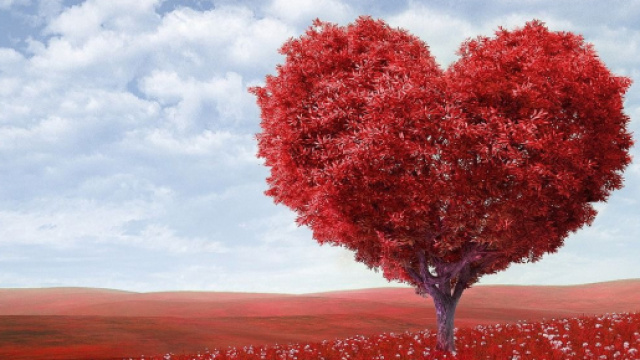 Oroscopo e classifica sull'amore di maggio: Gemelli passionali, Vergine nostalgica.