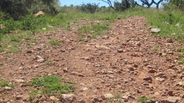 Pisa, scomparsa Claudia Meini: la giovane mamma di Cascina manca dal 23 marzo.
