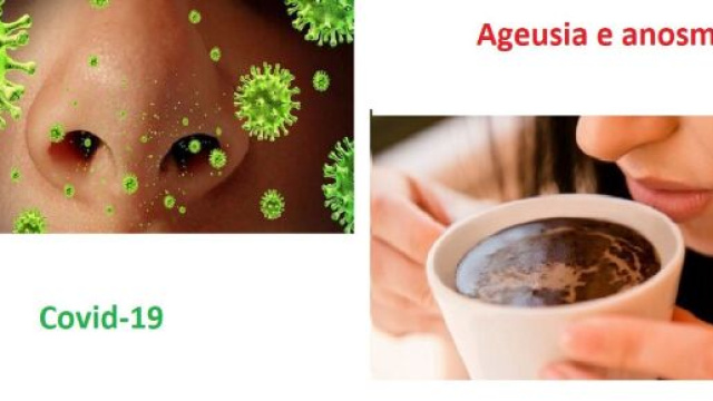 Una elevata percentuale di soggetti positivi al Covid-19 perde l&rsquo;olfatto e il gusto che, in molti casi lo recupera gi&agrave; dopo una settimana.