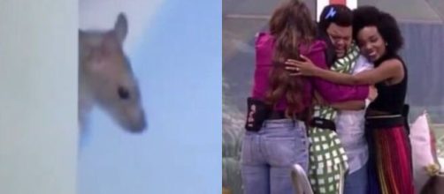 "BBB20": Rato Genilson j&aacute; tem mais seguidores que ex-bbbs. (Arquivo Blasting News)