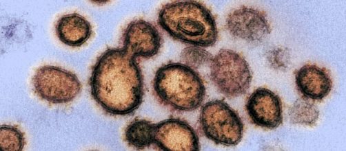 Los rayos solares podr&iacute;an matar r&aacute;pidamente el coronavirus, seg&uacute;n ... - yahoo.com