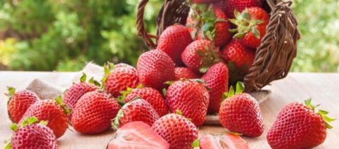 Los nutricionistas recomiendan comer fresas para perder peso durante el confinamiento