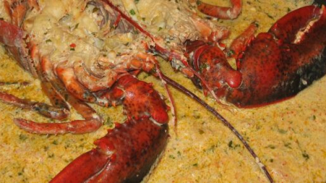 Astice alla Thermidor, un piatto francese gustoso e raffinato