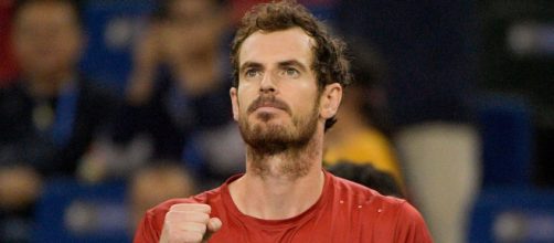 Andy Murray confirms Grand Slam singles return at 2020 Australian Open - telegraph.co.uk