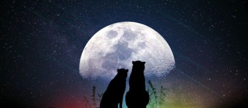 O m&ecirc;s de maio de 2020 far&aacute; com que o signo de C&acirc;ncer tenha que tomar dif&iacute;ceis decis&otilde;es em sua vida. (Reprodu&ccedil;&atilde;o/Pixabay)