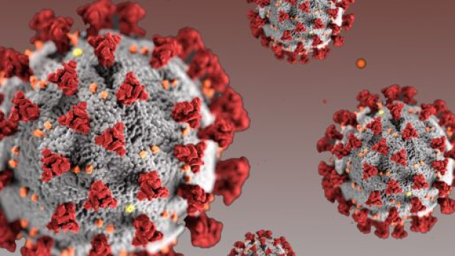 La Romania ancora non ha raggiunto il picco della pandemia di coronavirus.