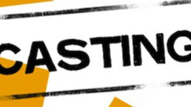 Casting per un nuovo programma TV e altro ancora.