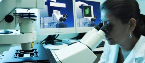 La investigaci&oacute;n cient&iacute;fica se intensifica para buscar una cura al Covid-19.