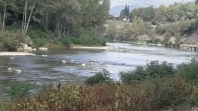Claudia Meini &egrave; scomparsa da San Casciano (frazione di Cascina) luned&igrave; 23 marzo.