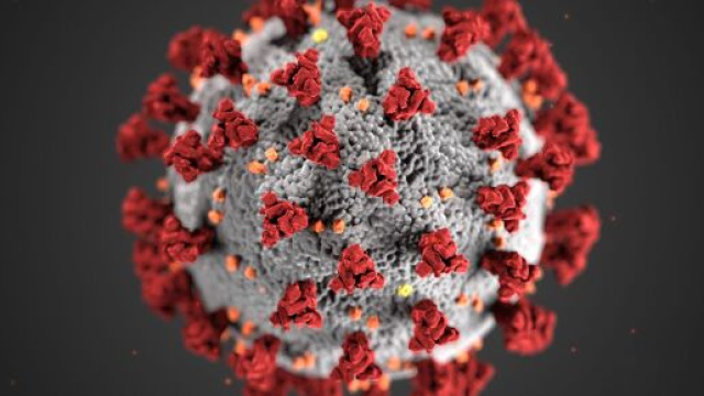 Regione Abruzzo, nel 2016 si temevano contagi da coronavirus