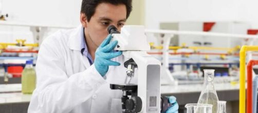 Coronavirus: La pandemia podr&iacute;a llegar a su fin.