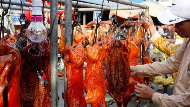 Coronavirus, Animal Equality lancia un appello per chiudere i wet market