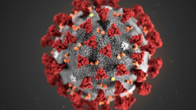 Coronavirus, i dati dei contagi in Abruzzo al 6 aprile 2020.