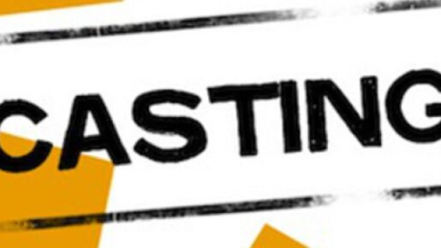 Casting per una fiction web e per uno spot.
