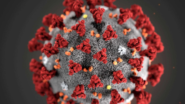 Coronavirus &copy; Wikimedia Commons