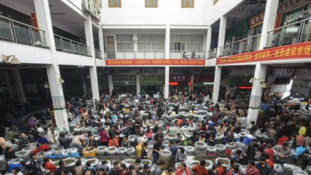 Il wet market di Wuhan in Cina