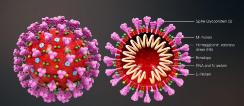 Image Credit: (Wikipedia/Creative Commons License)