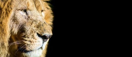 5 maneiras de aumentar o valor da restitui&ccedil;&atilde;o de Imposto de Renda. (Arquivo Blasting News)