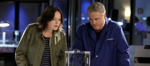 Jorja Fox fazia a Sara Sidle na s&eacute;rie. (Reprodu&ccedil;&atilde;o/CBS)