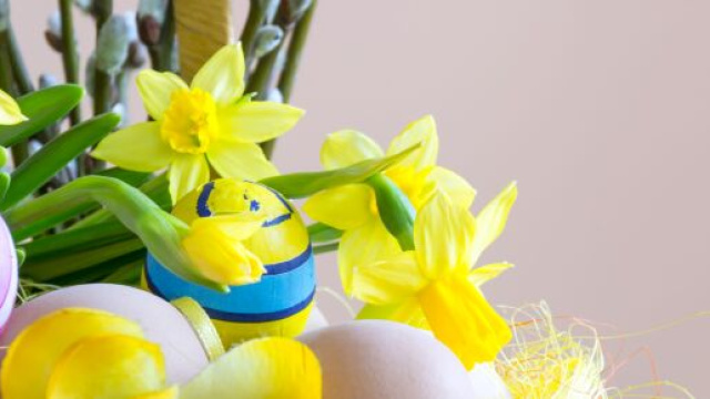 Men&ugrave; Pasquetta: 5 ricette, in primis la grigliata