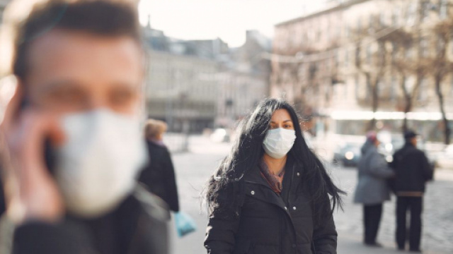 "Stop Covid", une application qui pourrait tenter d'arr&ecirc;ter la propagation du virus. Credit : Pexels/Gustavo Fring