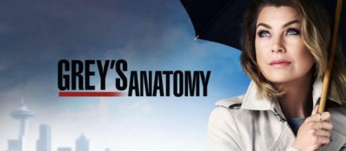 Signo dos famosos de 'Grey's Anatomy'. (Reprodu&ccedil;&atilde;o/ABC)