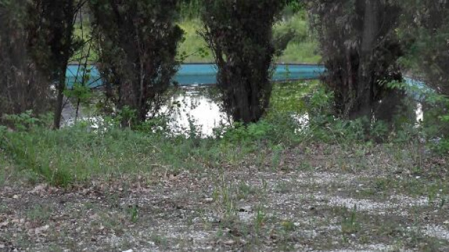 Foligno, tragedia Greta, il custode dell'agriturismo: '&Egrave; arrivata qui con qualcuno'