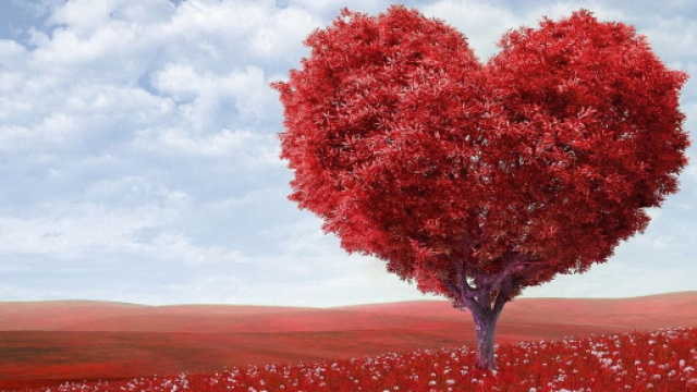 Oroscopo e classifica sull'amore di giugno: Leone trasgressivo, Gemelli passionali.