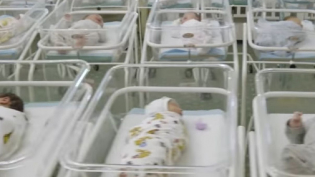 Ucraina, il caso dei neonati partoriti da madri surrogate: bloccati in un hotel. &copy;BioTexCom