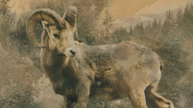 Previsioni zodiacali di luned&igrave; 18 maggio: revisioni amicali per Toro, Capricorno ostinato.