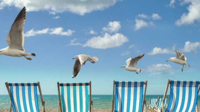 L'oroscopo del 19 maggio, previsioni astrali da Ariete a Pesci: Cancro leale