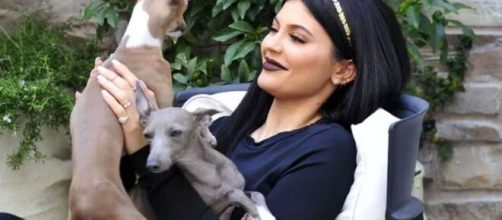 Kylie Jenner e seus cachorrinhos. (Reprodu&ccedil;&atilde;o/Instagram/@kyliejenner)