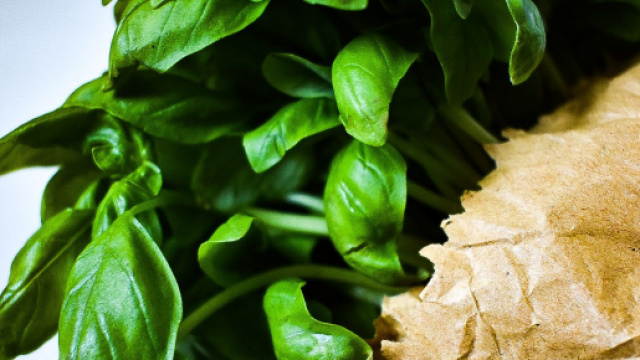 5 pesti con il basilico alternativi al classico pesto alla genovese