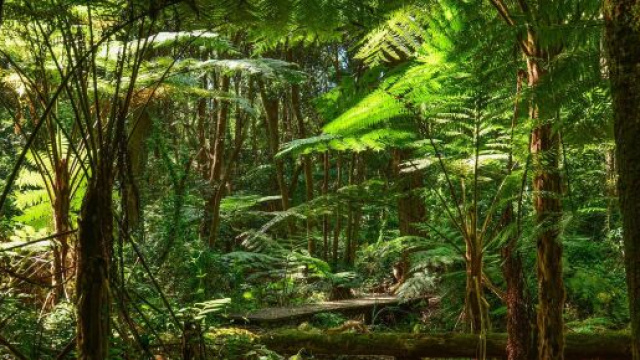 Lecco, il giallo di Giovanni scomparso da Calco.