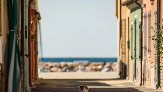 L'oroscopo del 3 maggio, previsioni primi 6 segni: lunga attesa per Cancro, Leone indeciso