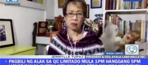 Jornalista &eacute; interrompida por briga de gatos de estima&ccedil;&atilde;o e v&iacute;deo viraliza na web. (Reprodu&ccedil;&atilde;o/Twitter)