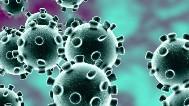 Coronavirus bollettino del 24 maggio