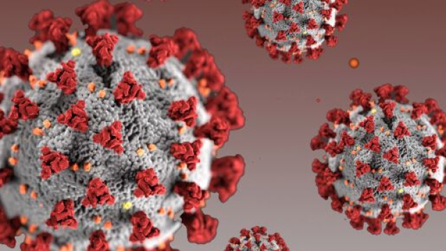 Coronavirus bollettino del 25 maggio.
