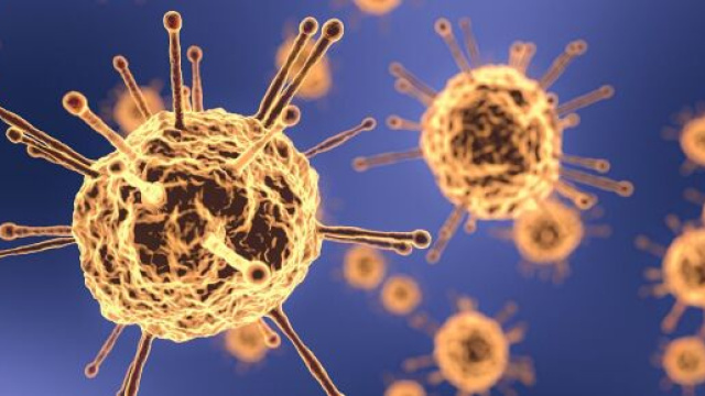 Coronavirus: stop ai test sull'idrossiclorochina.