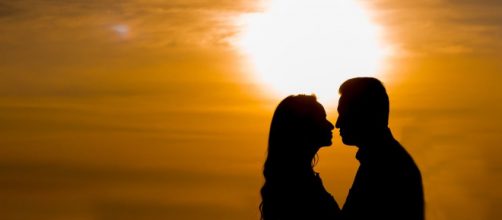 Os signos mais carinhosos do zod&iacute;aco. (Reprodu&ccedil;&atilde;o/Pixabay)