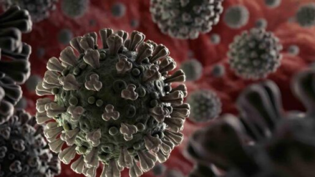 Coronavirus bollettino del 26 maggio.