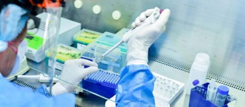 El laboratorio Vector en Rusia est&aacute; desarrollando una vacuna contra el coronavirus.