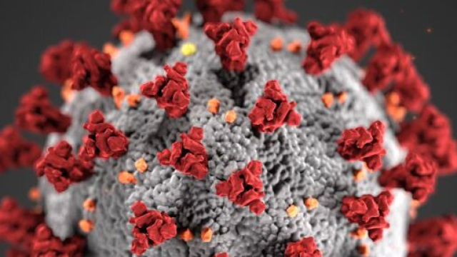 Coronavirus bollettino del 30 maggio